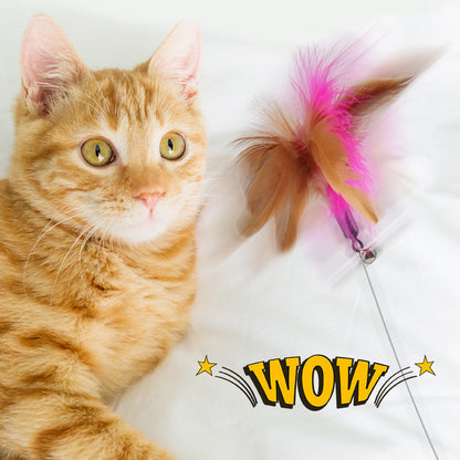 Multi-Functional Pet Toy – Silicone Cat Teaser with Feather, Foot & Table Leg Binding Collar