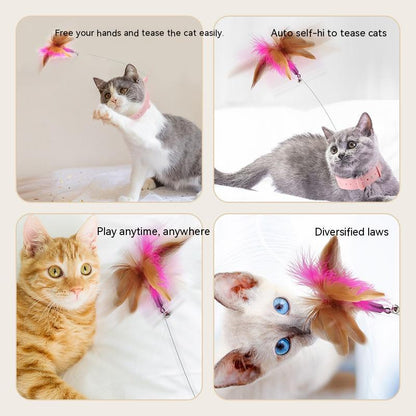 Multi-Functional Pet Toy – Silicone Cat Teaser with Feather, Foot & Table Leg Binding Collar