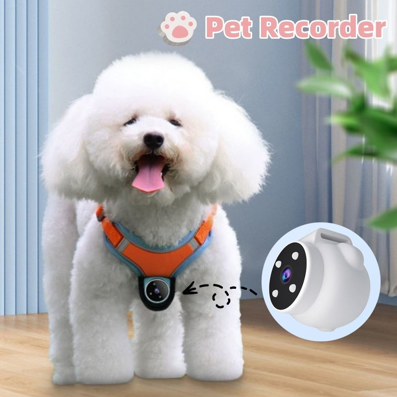 Pet Tracker Collar with Motion Recording Camera - For Dogs & Cats